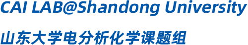 CAI LAB @ Shandong University