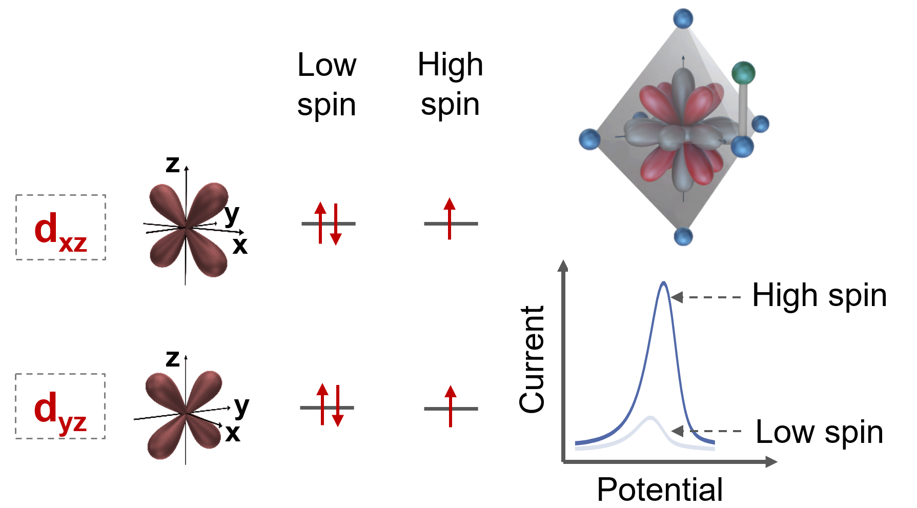 Our new publication on Adv. Funct. Mater. by Cunyuan Gao et al.